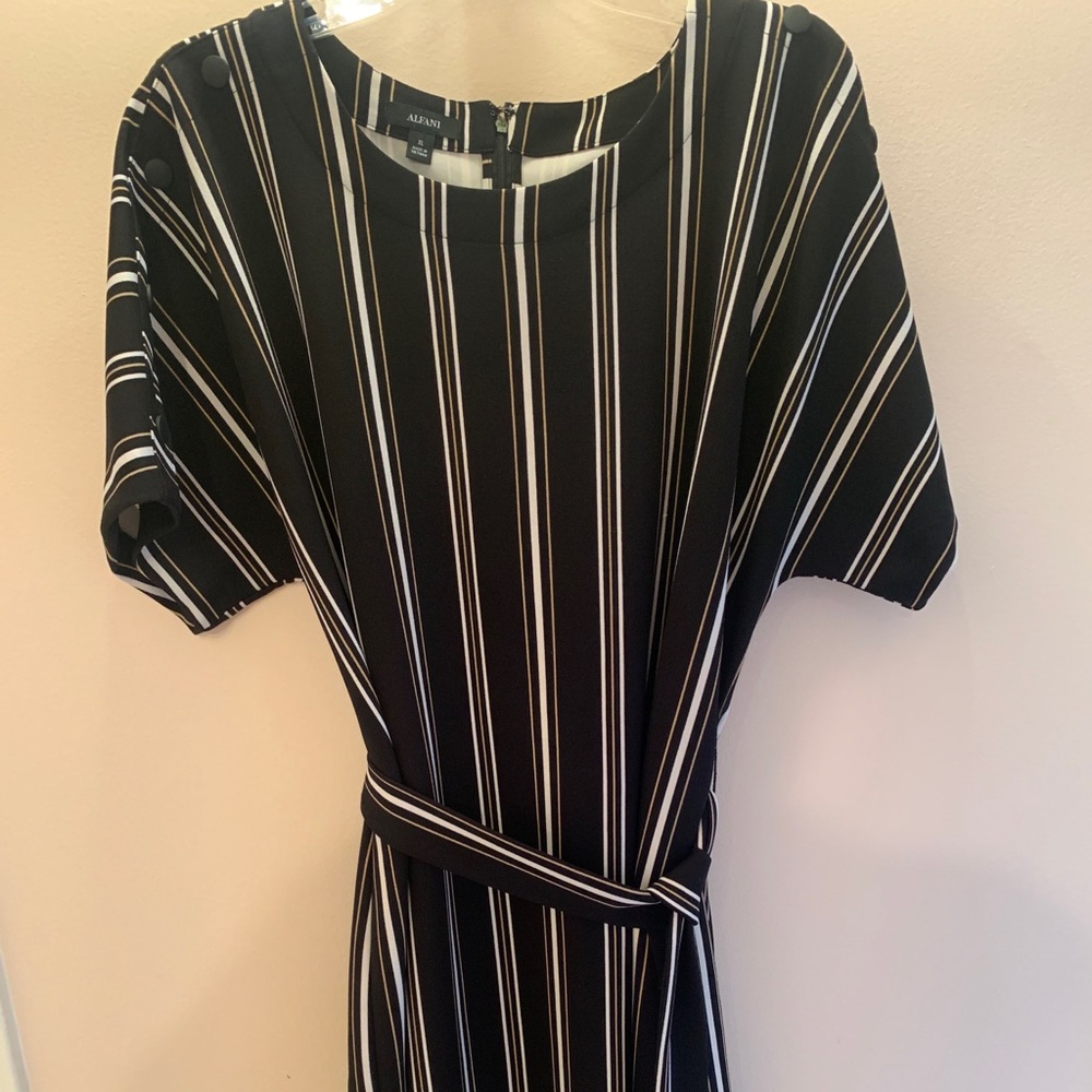 Stripe Alfanj dress worn 2 times